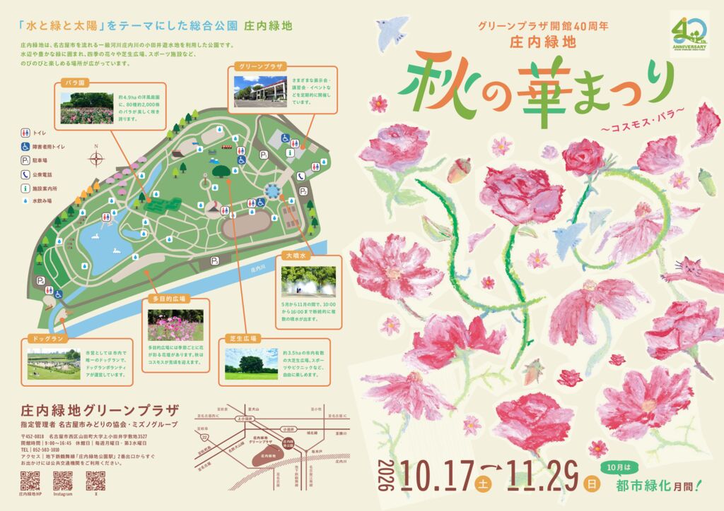 10/17～11/29　庄内緑地　秋の華まつり　～コスモス・バラ～①