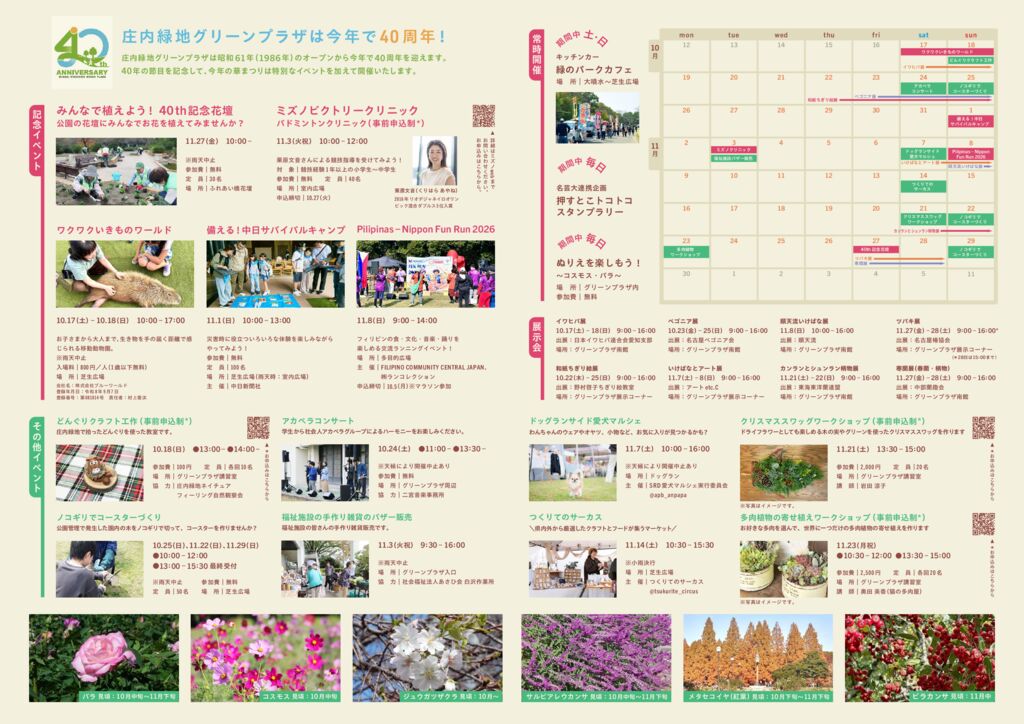 10/17～11/29　庄内緑地　秋の華まつり　～コスモス・バラ～②